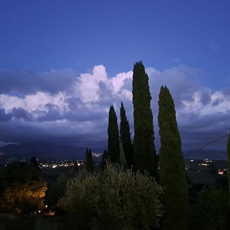 Villa The Green Door - Casa Vacanze Vicino A Roma Fonte Nuova エクステリア 写真